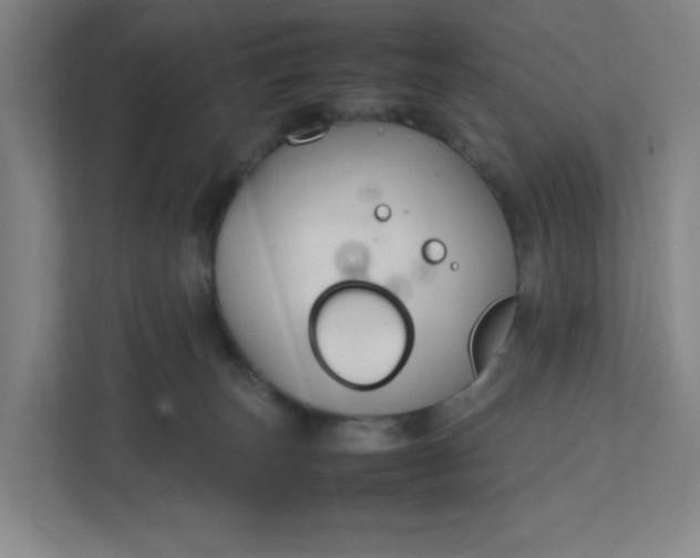 X0000111950179200908101229