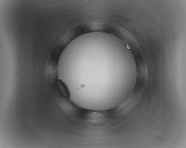 X0000111950180200908101229