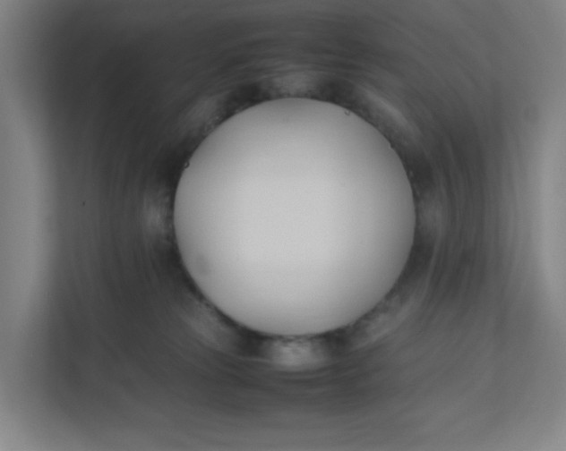 X0000111950181200908101229