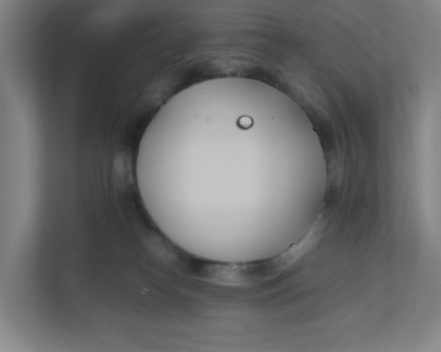 X0000111950182200908101229