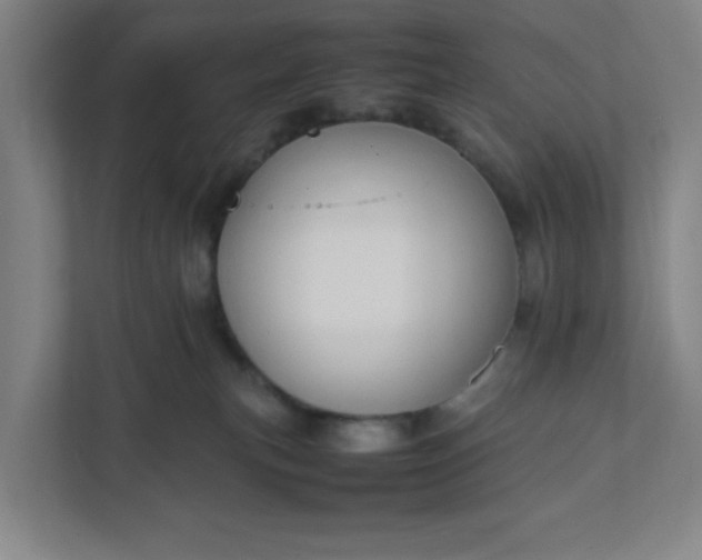 X0000111950183200908101229