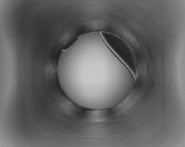 X0000111950184200908101230