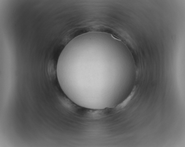 X0000111950186200908101230