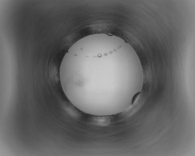 X0000111950187200908101230