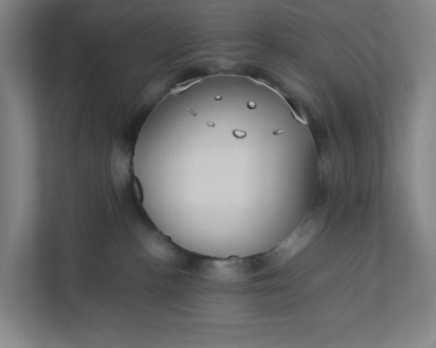 X0000111950188200908101230