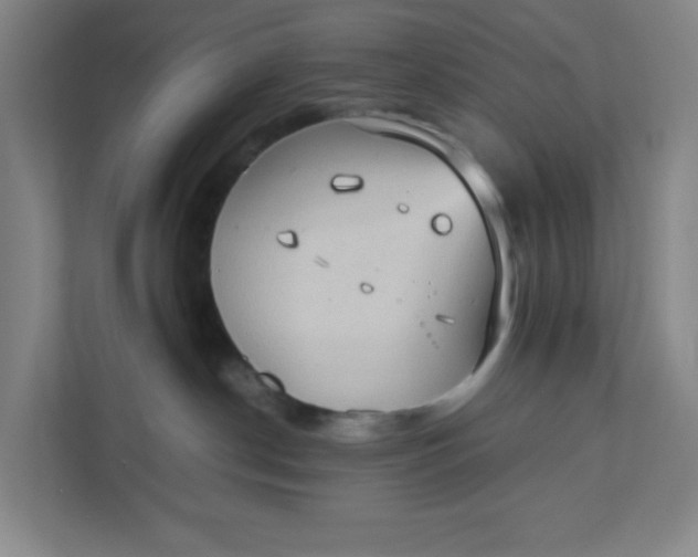 X0000111950190200908101230