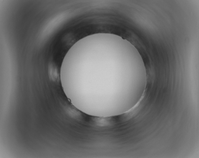 X0000111950191200908101230