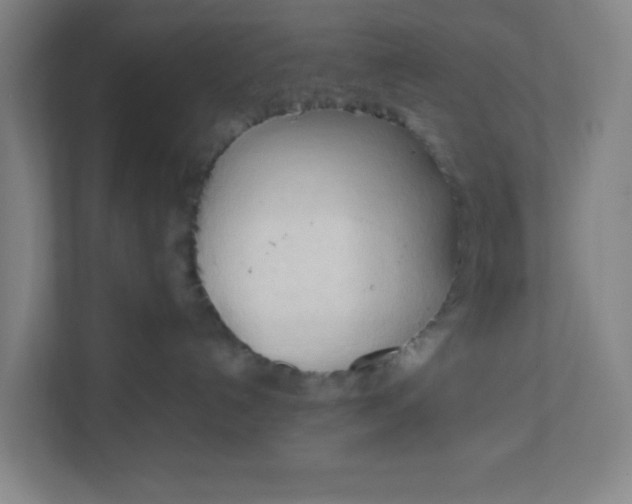 X0000111950192200908101230