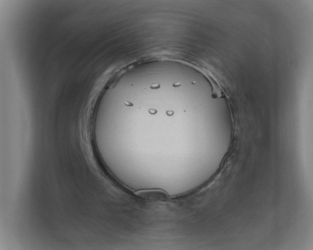 X0000111950193200908101229