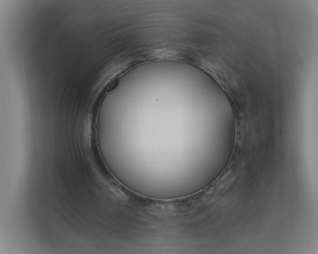 X0000111950194200908101229