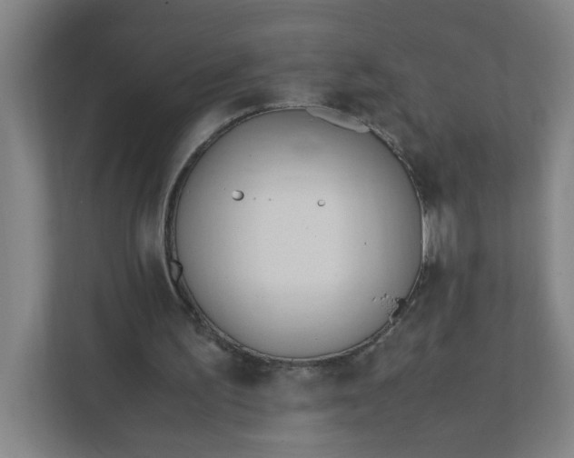 X0000111950195200908101229