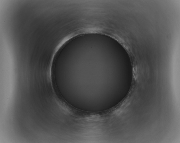 X0000111950196200908101229