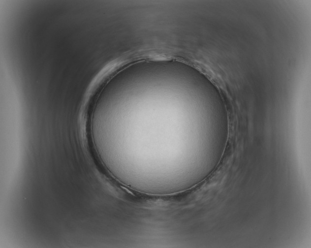 X0000111950197200908101229