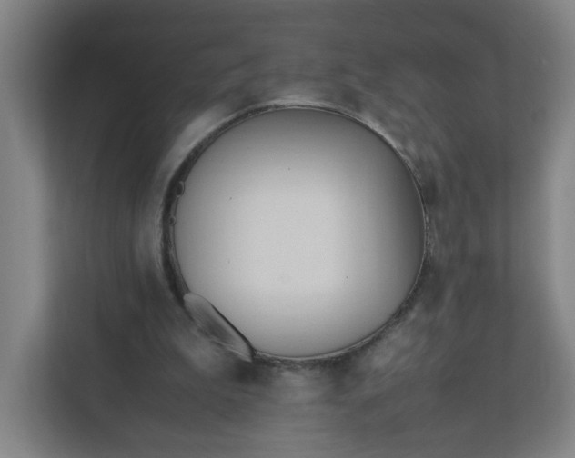 X0000111950199200908101229