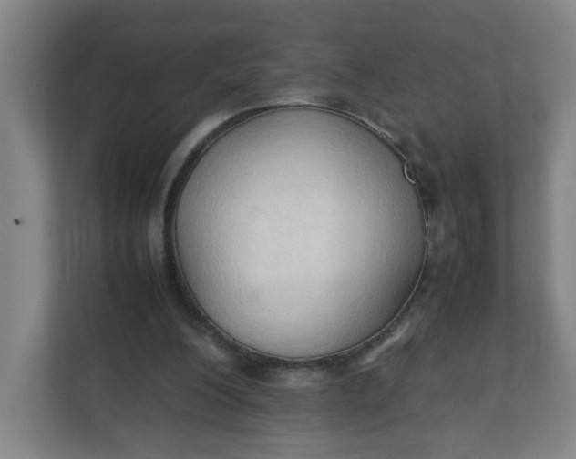 X0000111950200200908101229