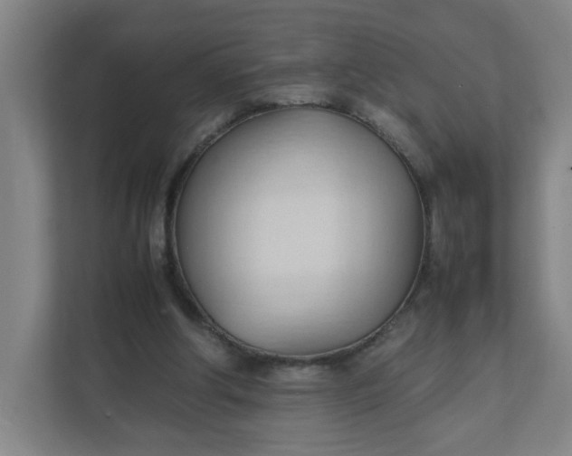 X0000111950202200908101229