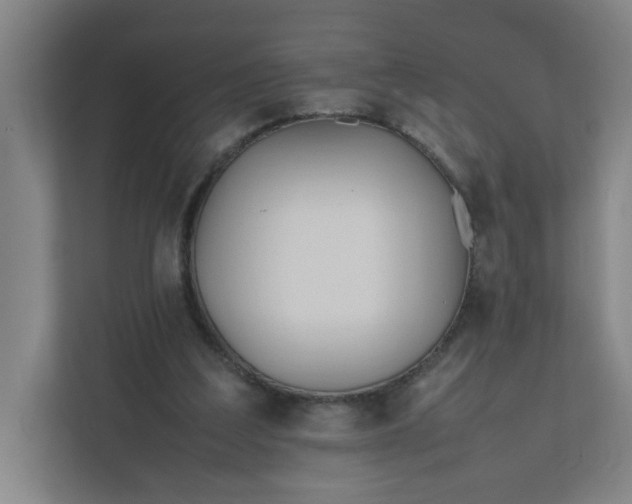 X0000111950203200908101229