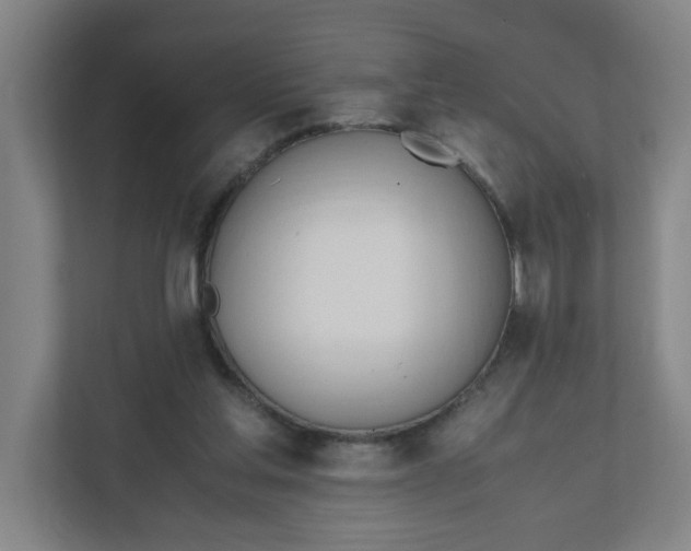 X0000111950205200908101229