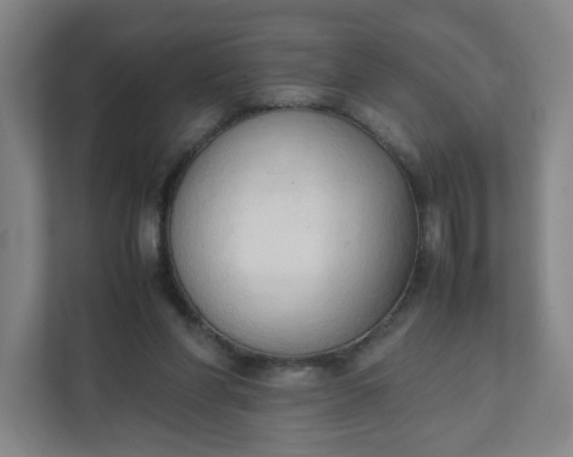 X0000111950206200908101229