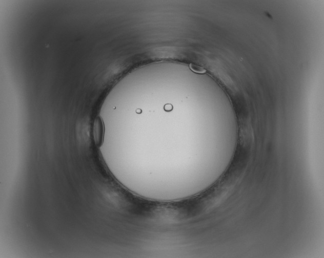 X0000111950207200908101229