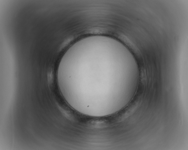 X0000111950208200908101229