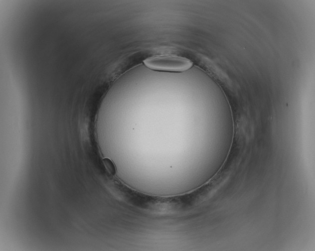 X0000111950209200908101229