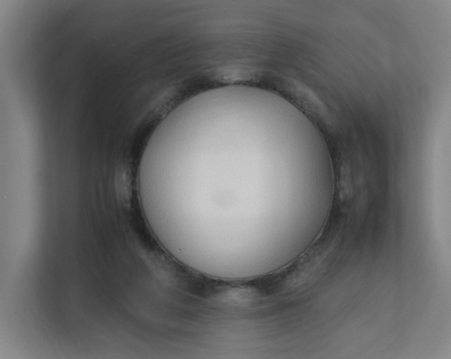 X0000111950210200908101229