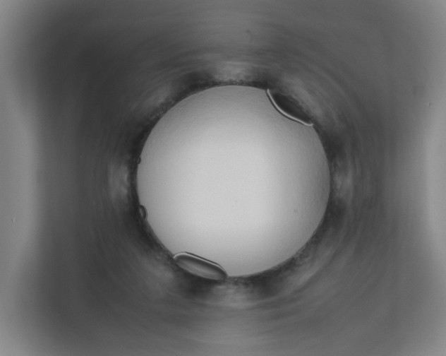 X0000111950211200908101229