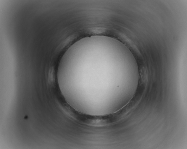 X0000111950212200908101229