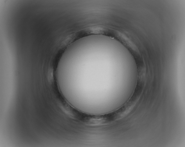 X0000111950213200908101229