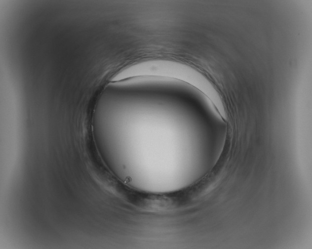 X0000111950215200908101229