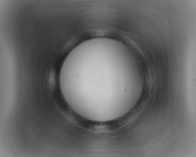 X0000111950216200908101229