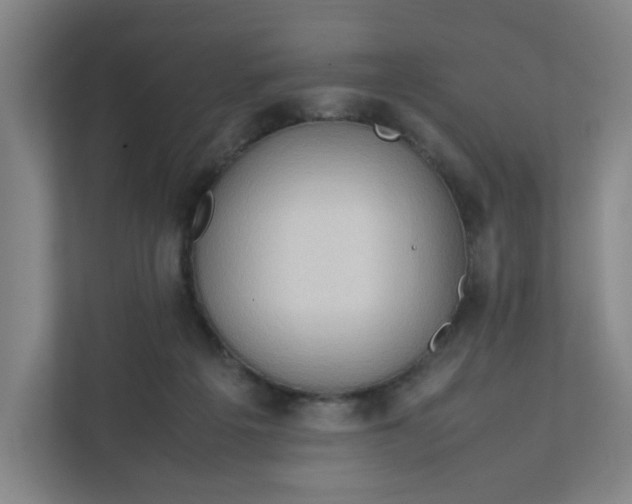 X0000111950217200908101229