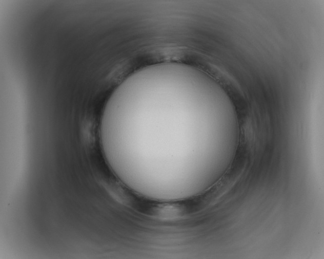 X0000111950218200908101229