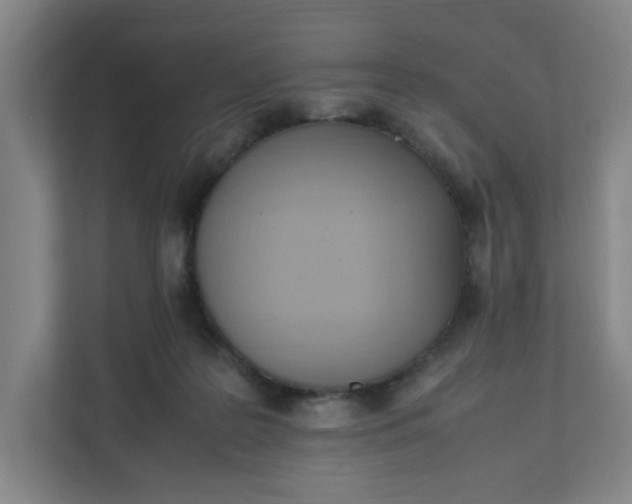 X0000111950219200908101229