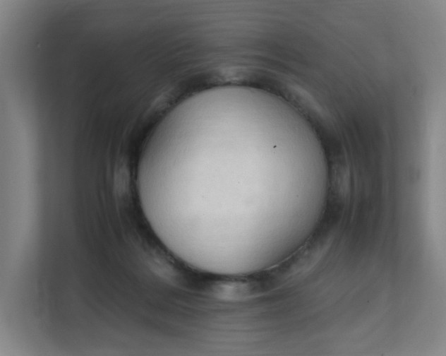 X0000111950220200908101229