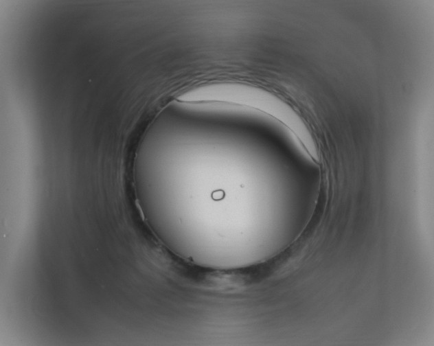 X0000111950221200908101229