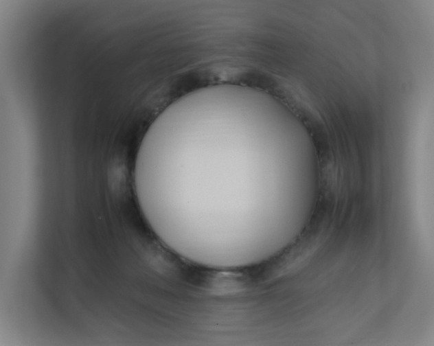 X0000111950222200908101229