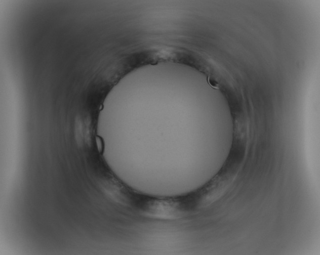 X0000111950223200908101229