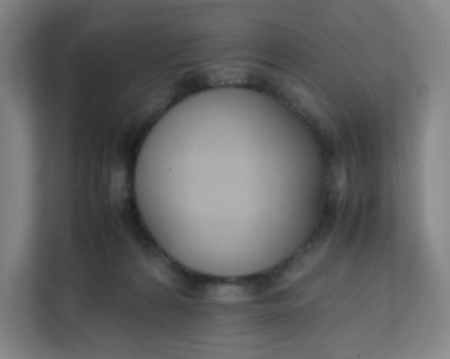 X0000111950224200908101229