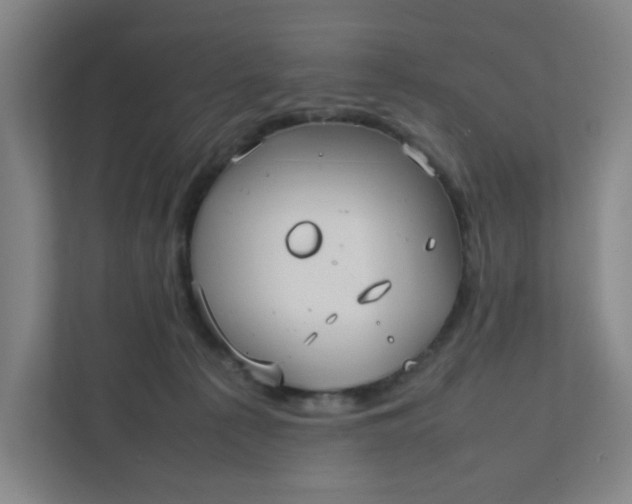 X0000111950225200908101229