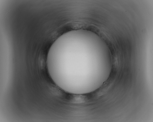 X0000111950226200908101229