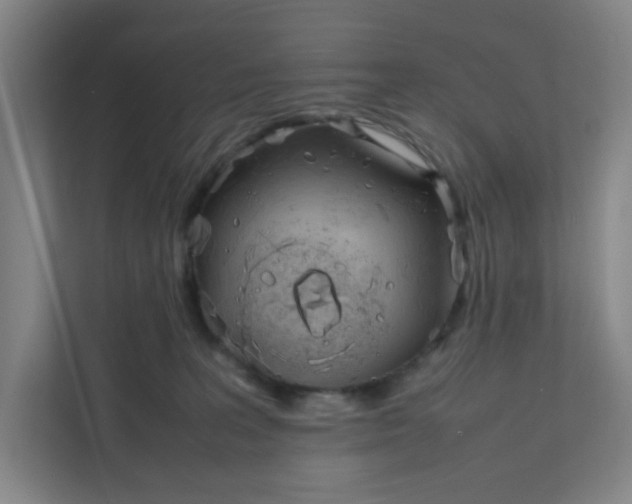 X0000111950227200908101229