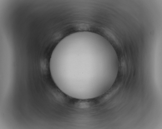 X0000111950228200908101229