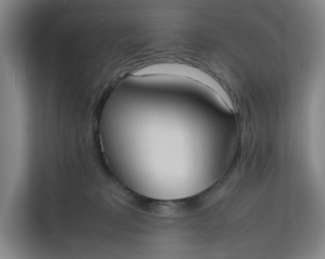 X0000111950229200908101229