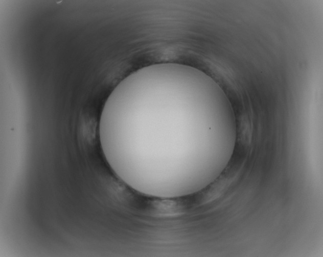 X0000111950230200908101229