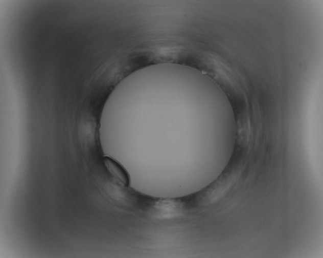 X0000111950231200908101228