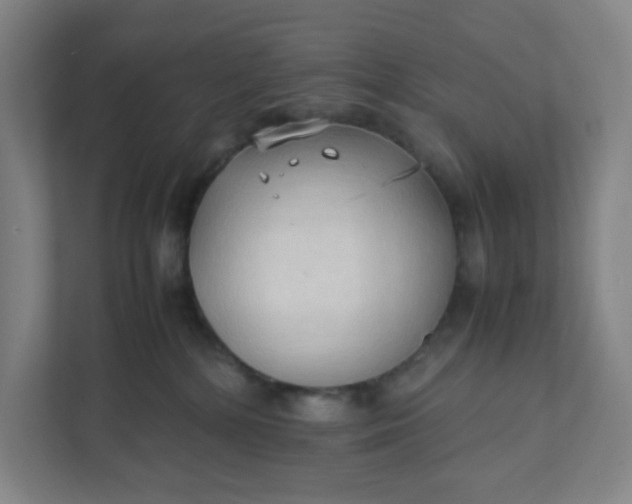 X0000111950232200908101228