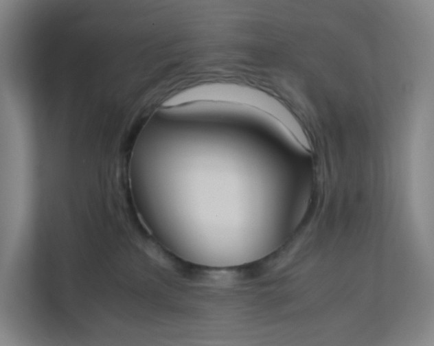 X0000111950233200908101228