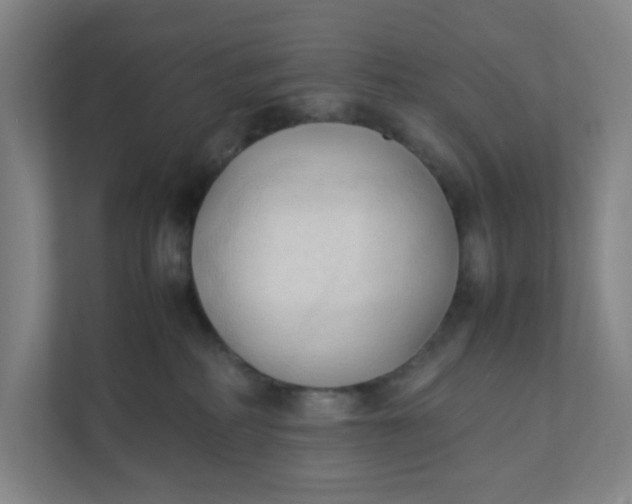 X0000111950234200908101228